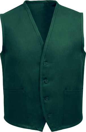 V65 VEST - Product - Delta Plus
