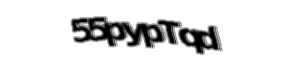 Security check image, please type the characters shown
