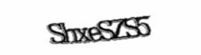 Security check image, please type the characters shown