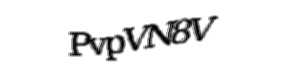 Security check image, please type the characters shown