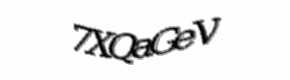 Security check image, please type the characters shown