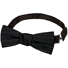 F43 BOW TIE