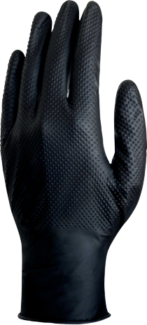 V1600