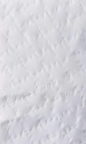 Deltaplus OVERAL DT119 4B