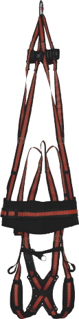 RAH33
