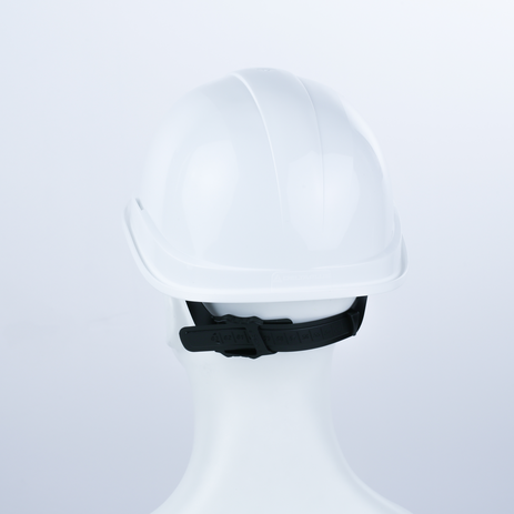 ZIRCON 1 - Product - Delta Plus