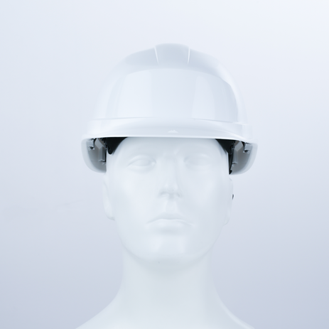 ZIRCON 1 - Product - Delta Plus